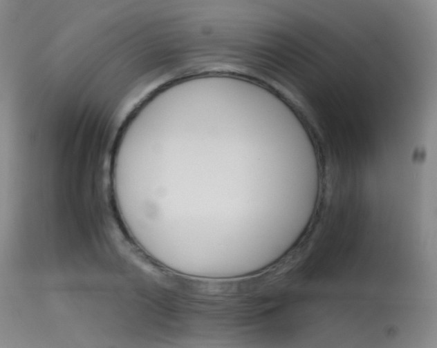 X0000115620790200911101055
