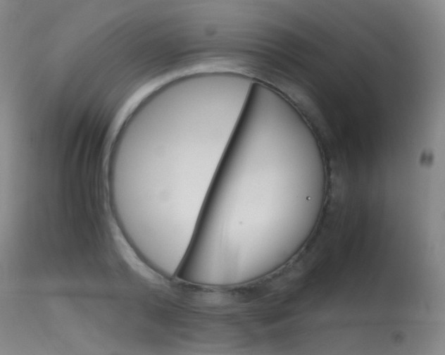 X0000115620792200911101055