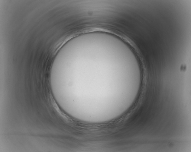 X0000115620793200911101055