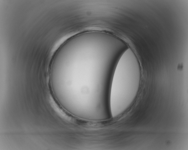 X0000115620795200911101055