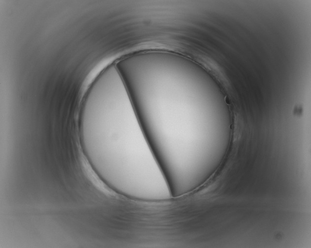 X0000115620796200911101055