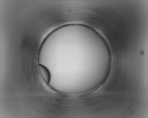 X0000115620797200911101055