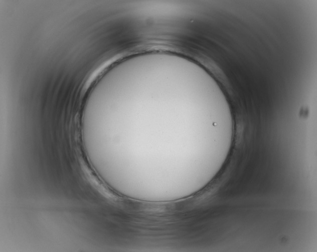 X0000115620798200911101055