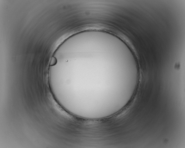 X0000115620802200911101055