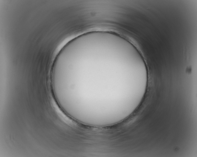 X0000115620803200911101055
