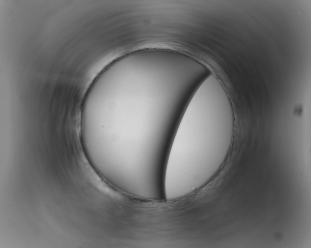 X0000115620804200911101055