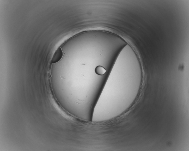 X0000115620805200911101055