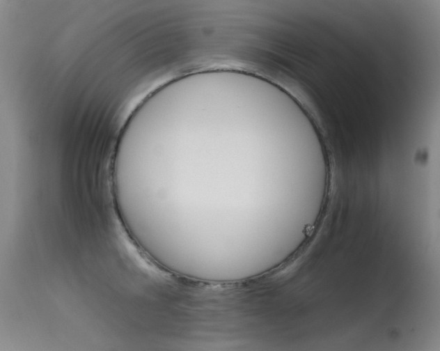 X0000115620806200911101055