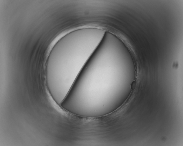 X0000115620808200911101055