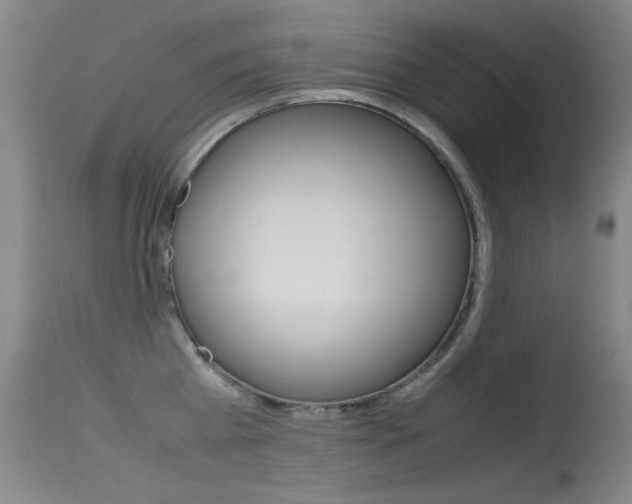X0000115620809200911101055