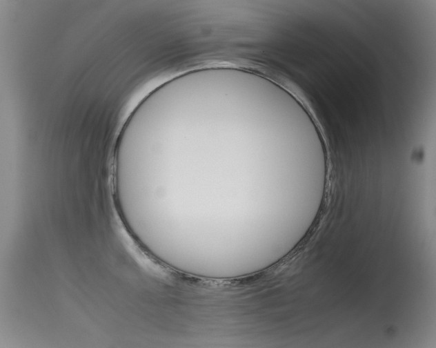 X0000115620811200911101055