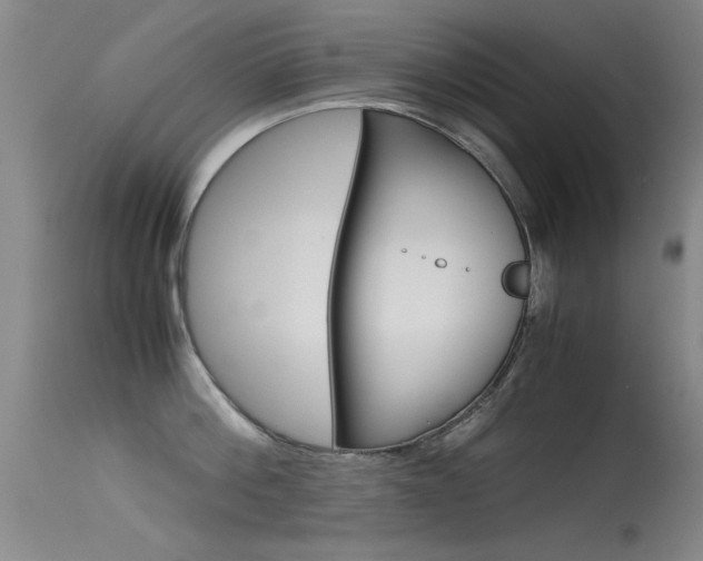 X0000115620812200911101055