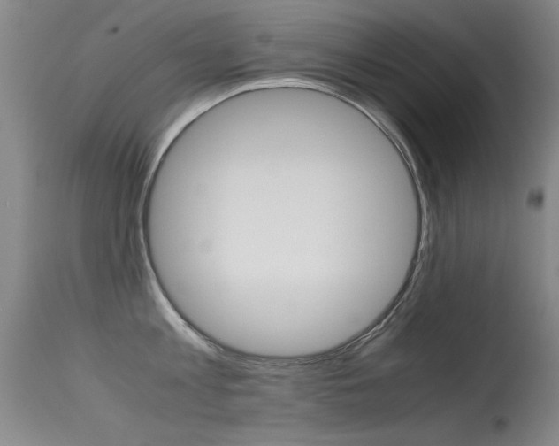 X0000115620813200911101055