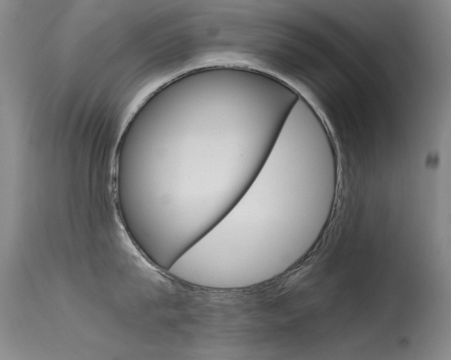 X0000115620815200911101055