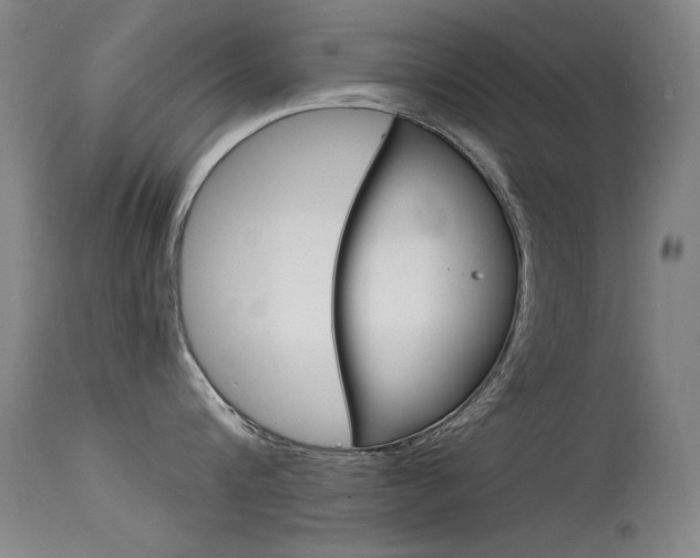X0000115620816200911101055
