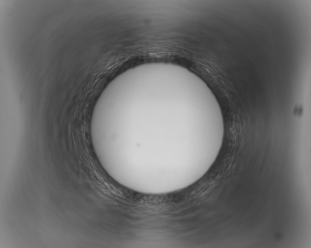 X0000115620817200911101054