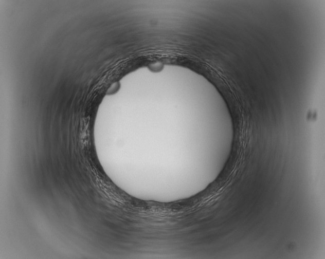 X0000115620818200911101054