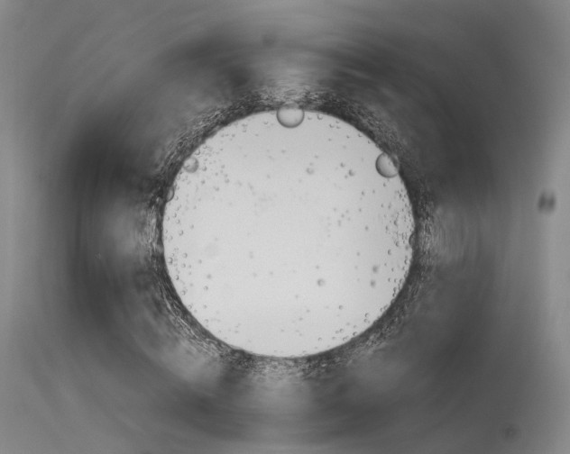 X0000115620820200911101054