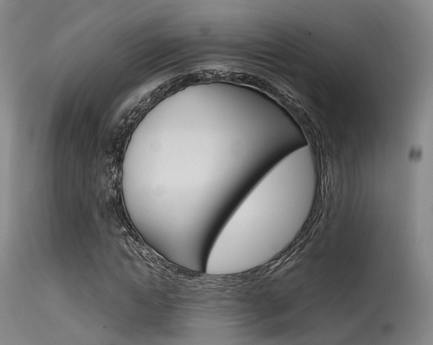 X0000115620822200911101054