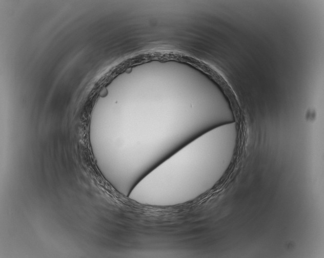 X0000115620823200911101054