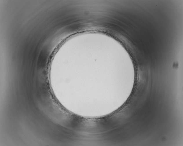 X0000115620828200911101054