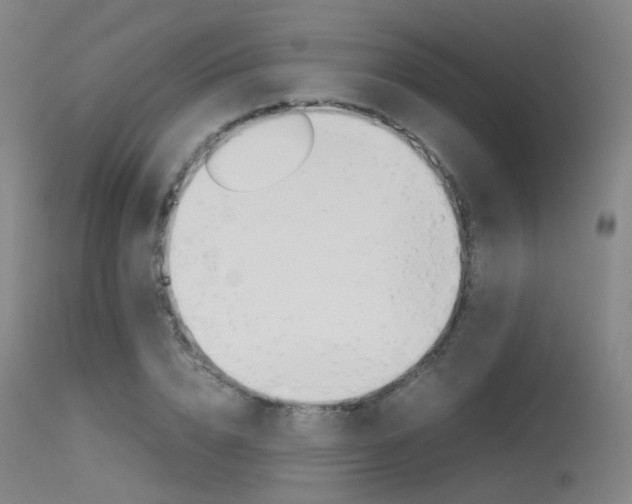 X0000115620832200911101054