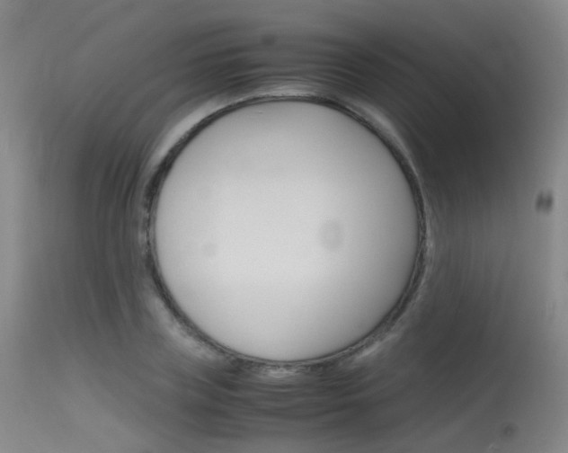 X0000115620835200911101054