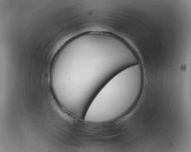 X0000115620837200911101054
