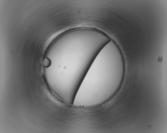 X0000115620838200911101054