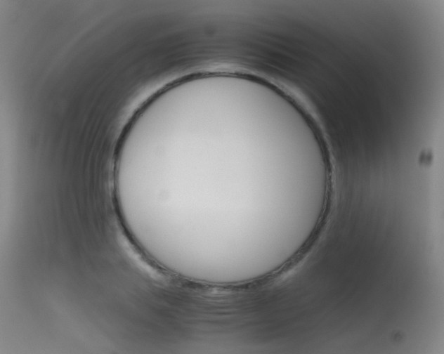 X0000115620839200911101054