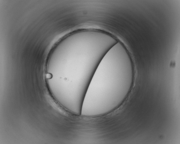 X0000115620840200911101054