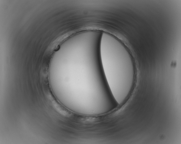 X0000115620841200911101054