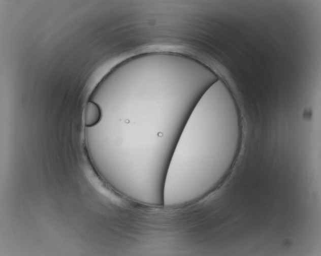 X0000115620844200911101054