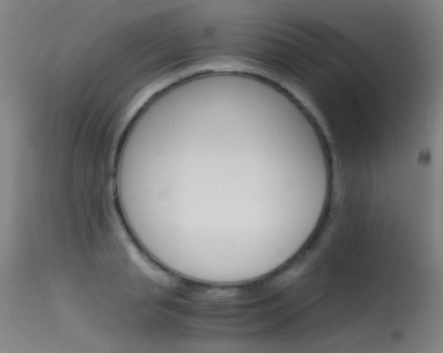 X0000115620845200911101054
