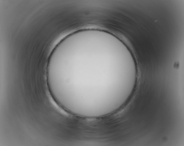 X0000115620847200911101054