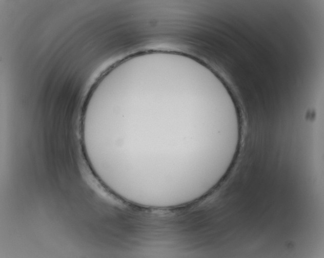 X0000115620848200911101054