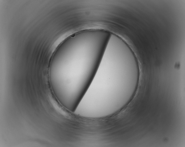 X0000115620850200911101054