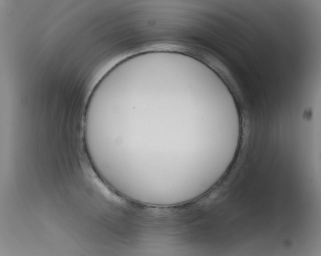 X0000115620852200911101054