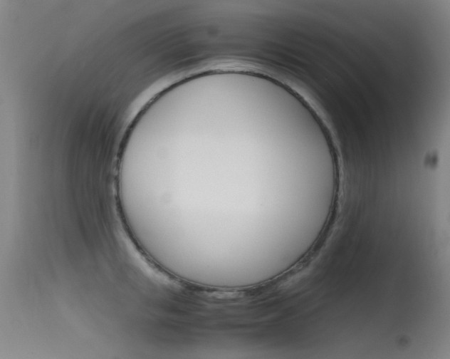 X0000115620853200911101054
