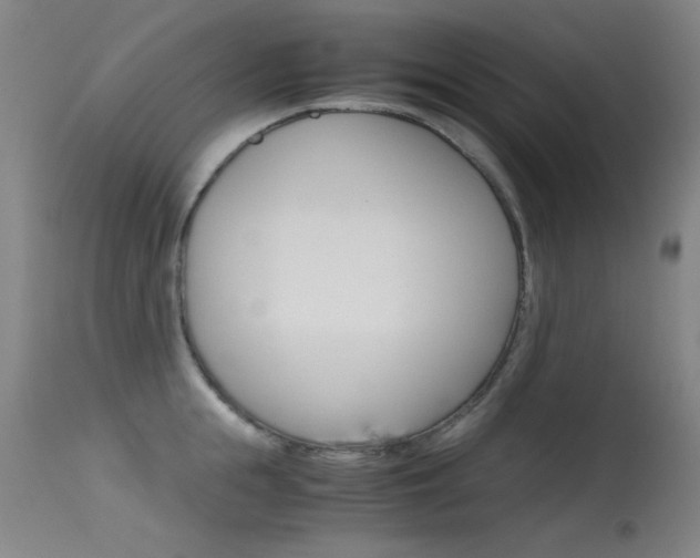 X0000115620855200911101054