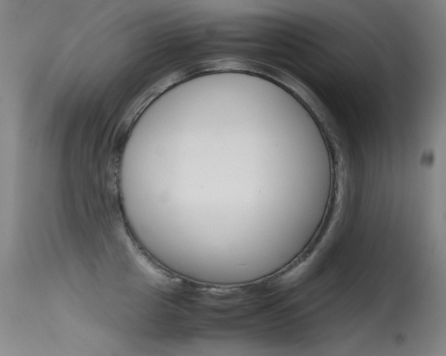 X0000115620857200911101054