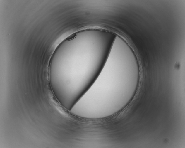 X0000115620858200911101054