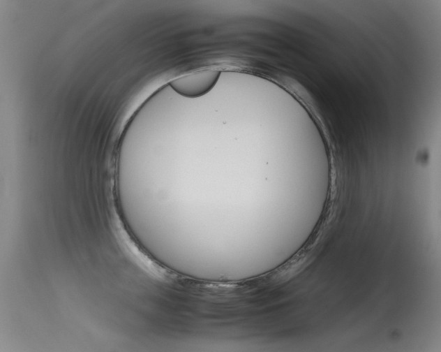 X0000115620859200911101054