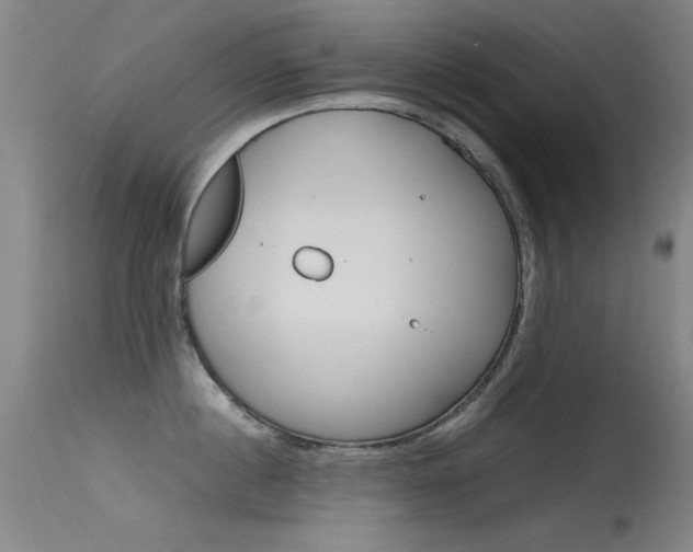 X0000115620860200911101054