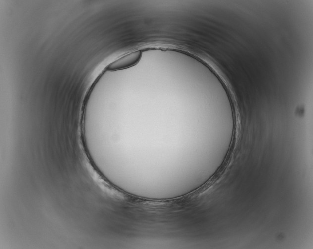 X0000115620861200911101054