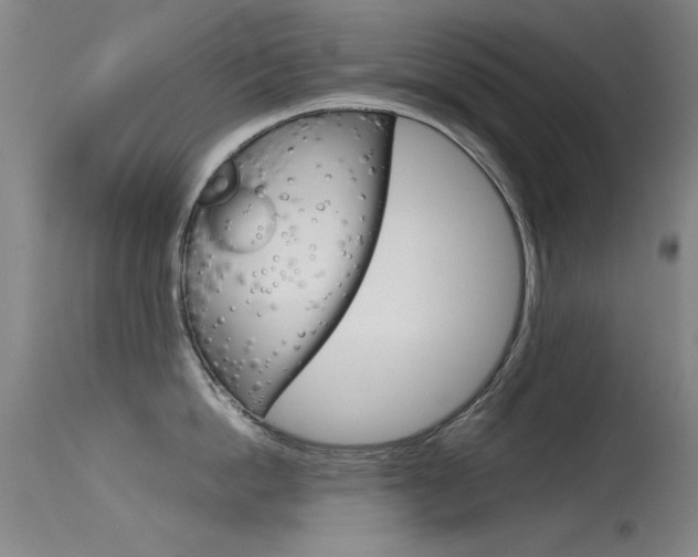 X0000115620862200911101055