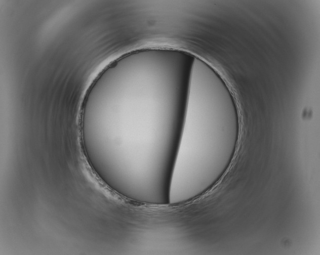 X0000115620864200911101055