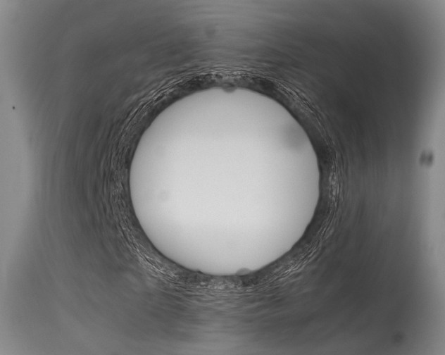 X0000115620865200911101054