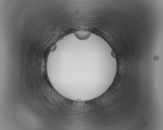 X0000115620866200911101054