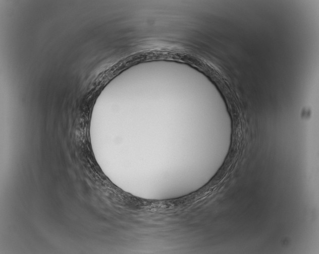 X0000115620869200911101054